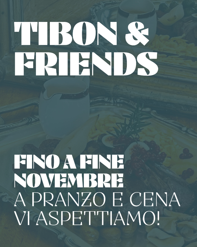 TIBON & Friends